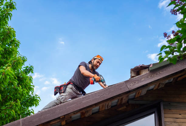 Best Sheet Metal Roofing  in Windsor, CA